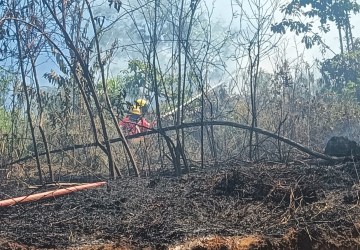 Incêndio em vegetação atinge 5 mil m² em Presidente Getúlio