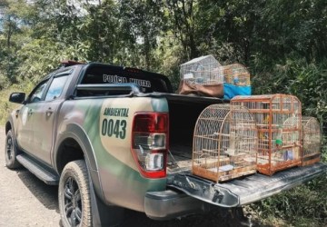 Operação policial em Petrolândia encontra animais silvestres em cativeiro e investiga denúncia de agressão