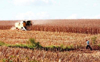 Economia de Santa Catarina é a que mais cresce entre os estados do Sul e Sudeste