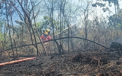 Incêndio em vegetação atinge 5 mil m² em Presidente Getúlio