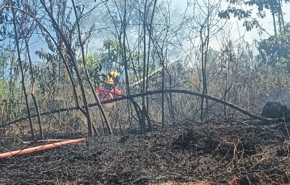 Incêndio em vegetação atinge 5 mil m² em Presidente Getúlio